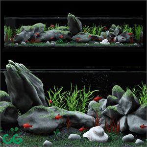 Aquarium